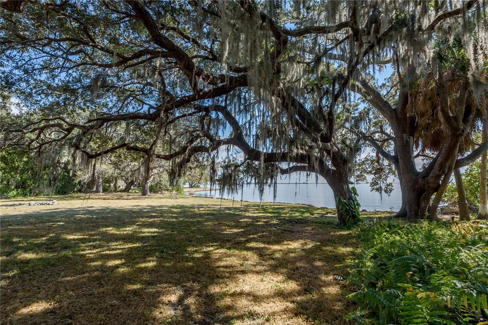 6210 BAYSHORE BOULEVARD, Tampa, FL 33611 6210 BAYSHORE BOULEVARD, Tampa, FL 33611