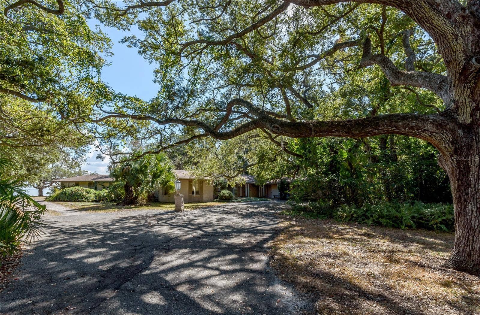 6210 BAYSHORE BOULEVARD, Tampa, FL 33611 6210 BAYSHORE BOULEVARD, Tampa, FL 33611