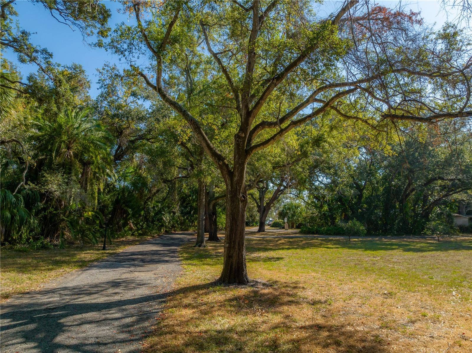 6210 BAYSHORE BOULEVARD, Tampa, FL 33611 6210 BAYSHORE BOULEVARD, Tampa, FL 33611