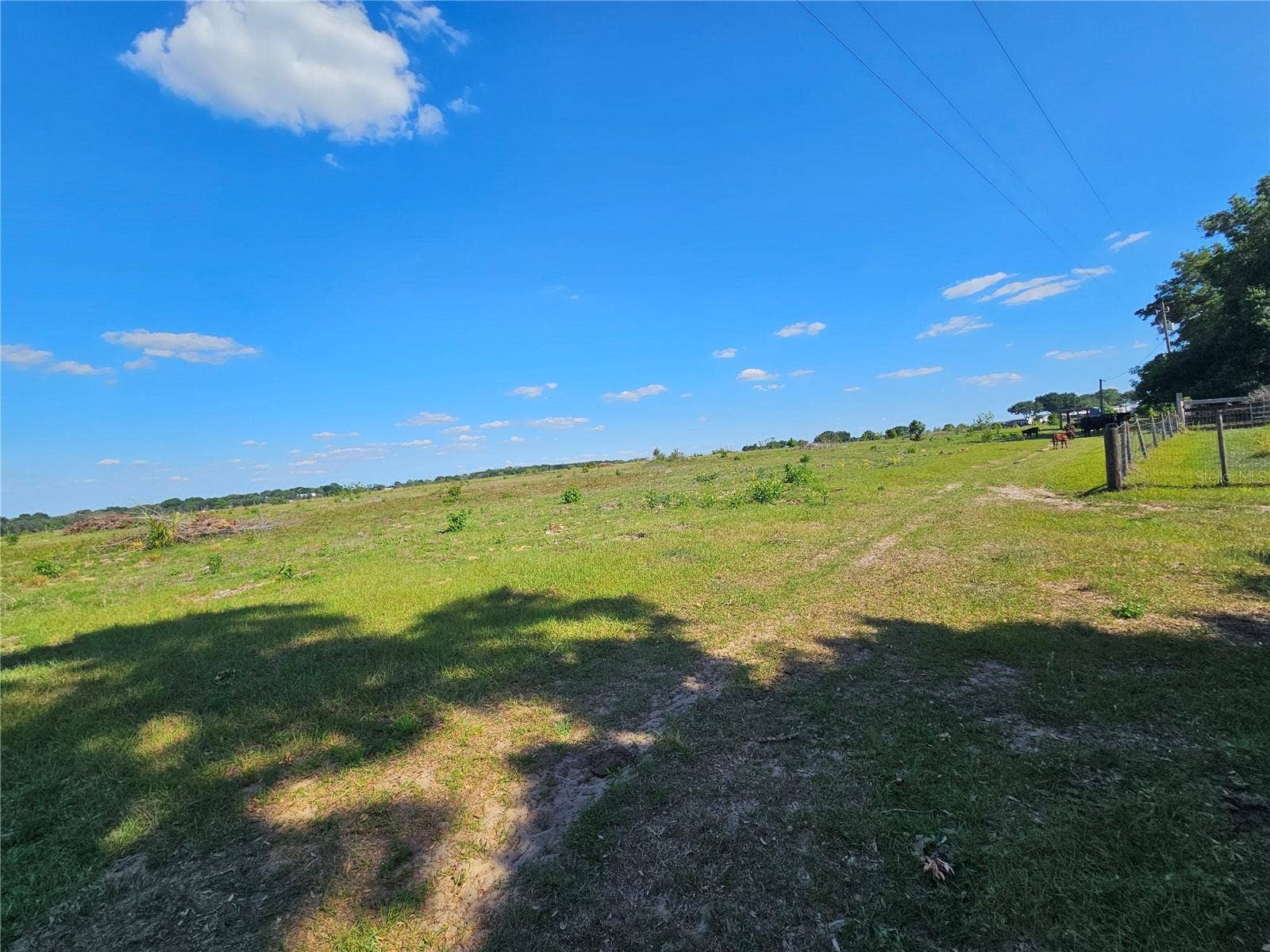 38646 CLINTON AVENUE, Dade City, FL 33525 38646 CLINTON AVENUE, Dade City, FL 33525