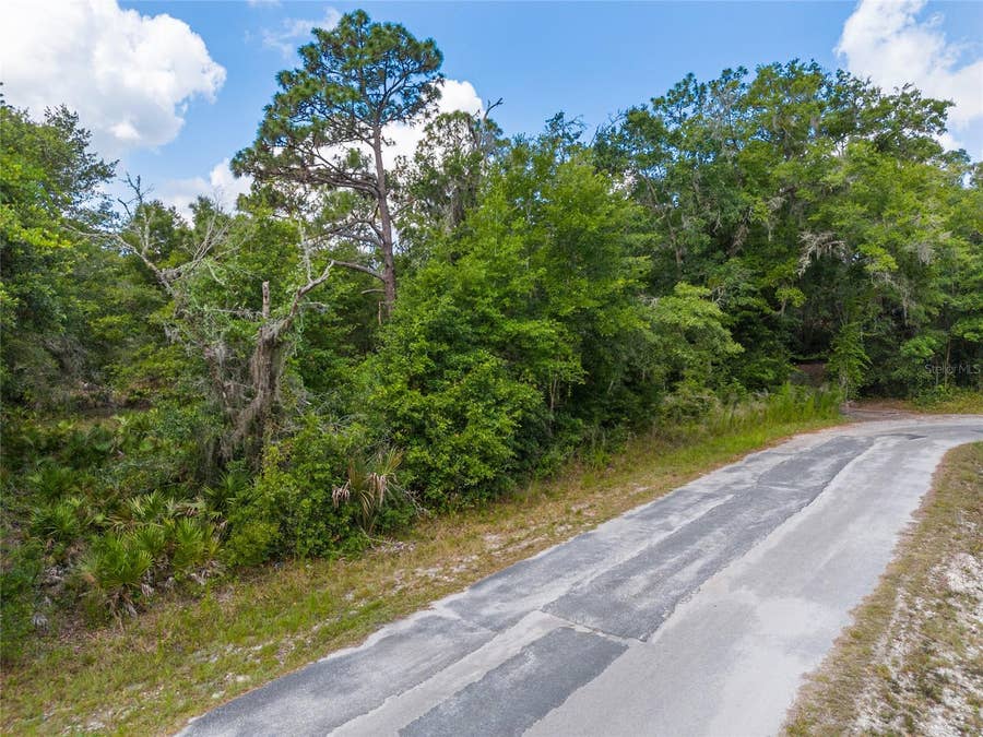 Property photo for 12180 W OLIVE TREE LANE, Crystal River, FL