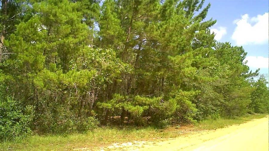 Property photo for 0 NONE, Interlachen, FL