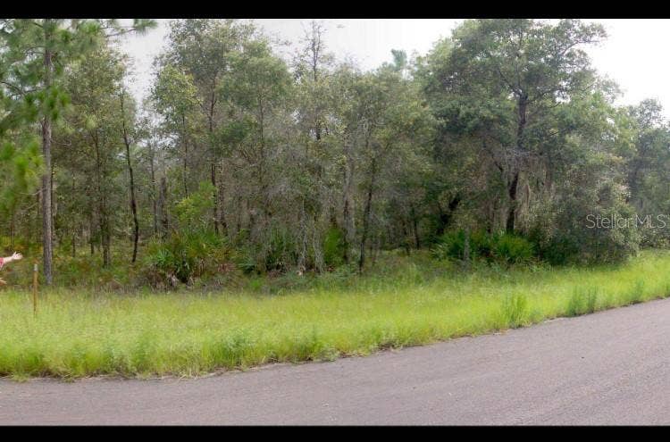 Property photo for 2156 W DEERFIELD LANE, Dunnellon, FL