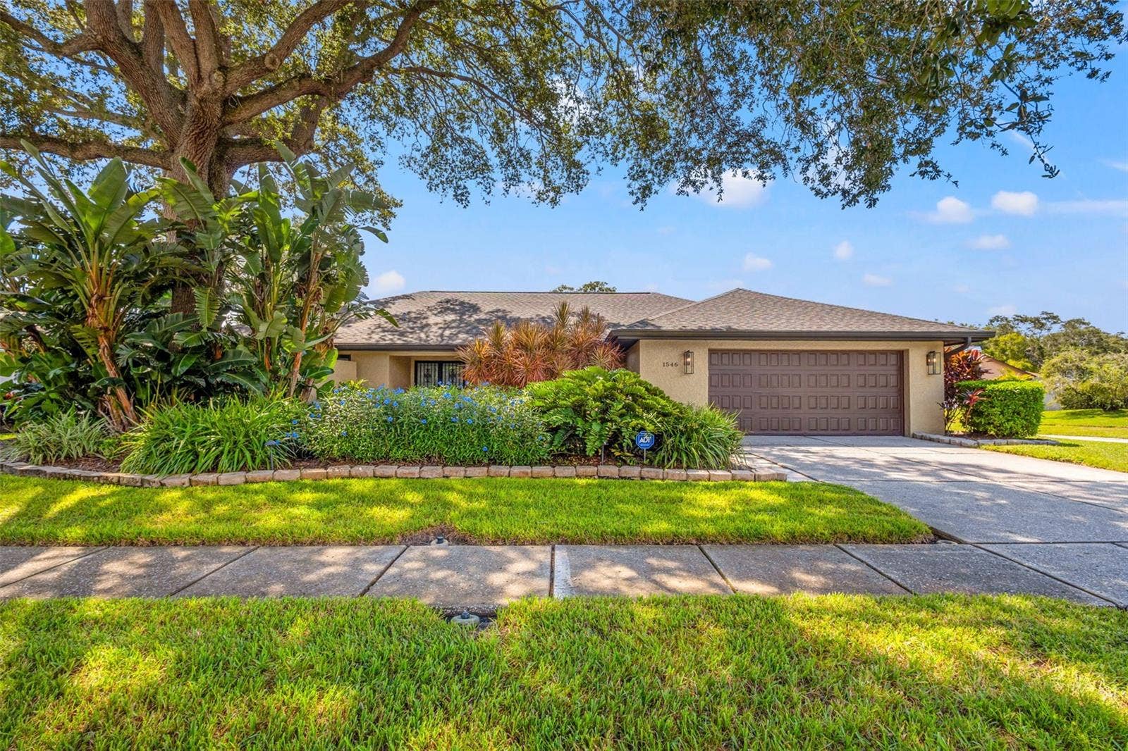 Curb Appeal