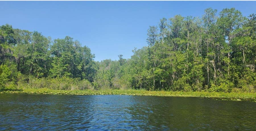 Property photo for 00 W HIGHWAY 40, Dunnellon, FL