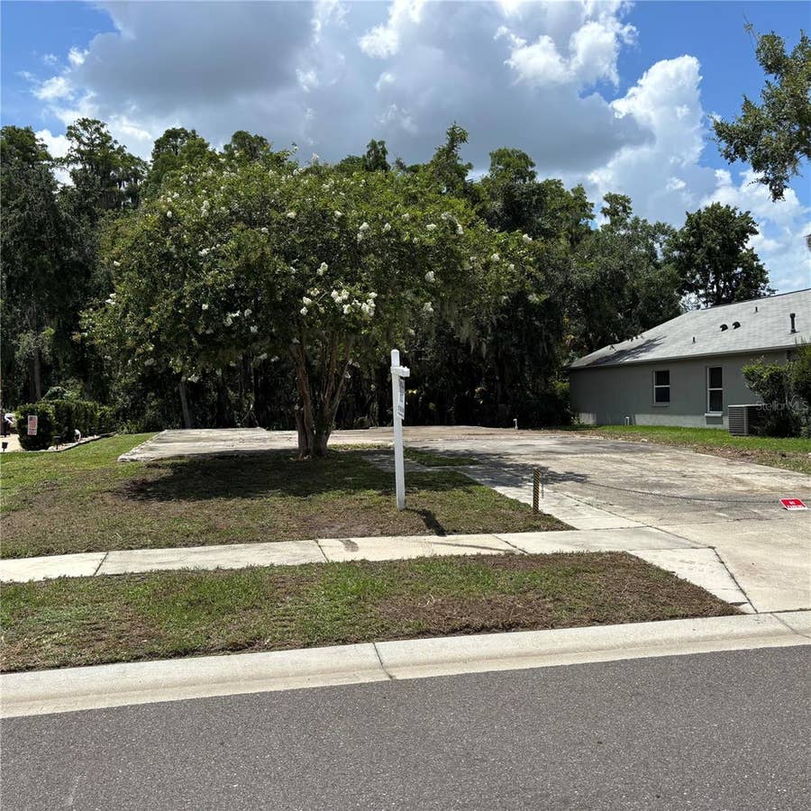 Property photo for 1323 BAYTHORN DRIVE, Wesley Chapel, FL