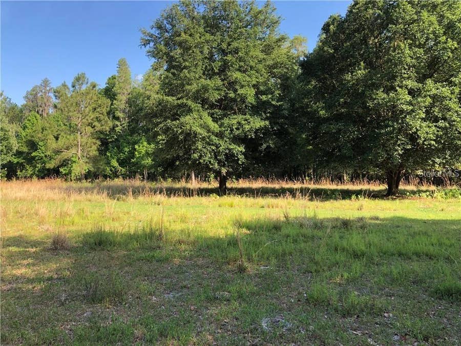 Property photo for 17301 MORRIS BRIDGE ROAD, Thonotosassa, FL