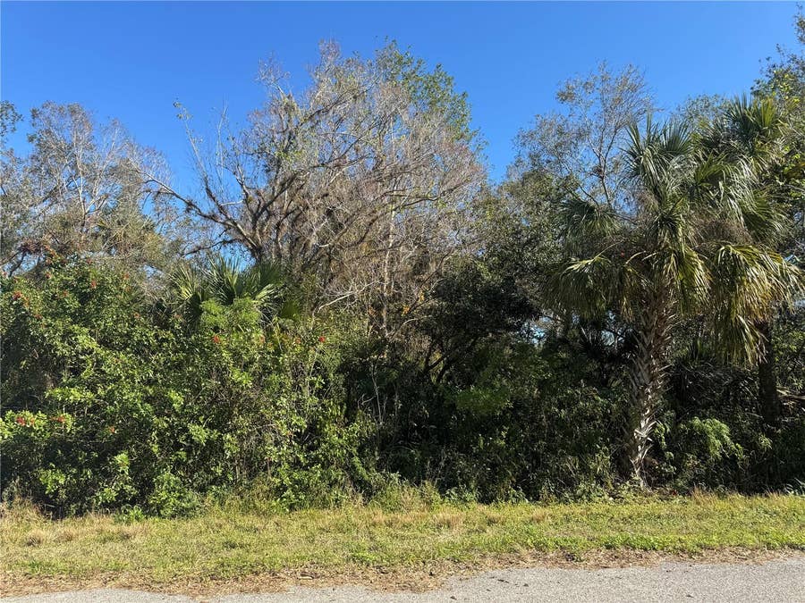 Property photo for 194 RAY STREET, Port Charlotte, FL