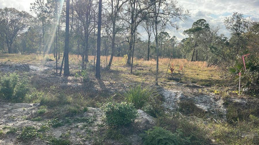 Property photo for KELLY RIDGE ROAD, Frostproof, FL