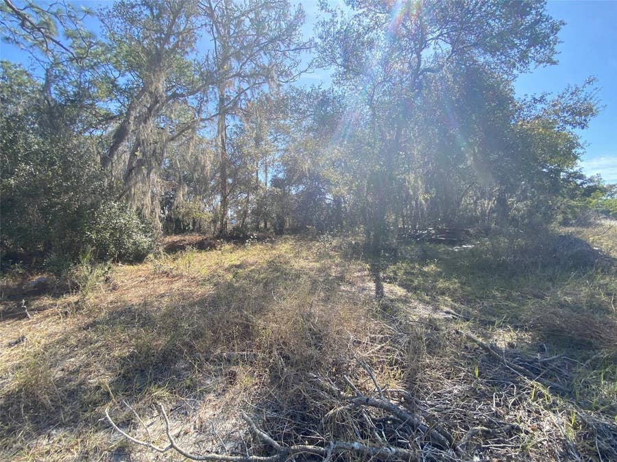 Property photo for 1203 VERNON LANE, Kissimmee, FL