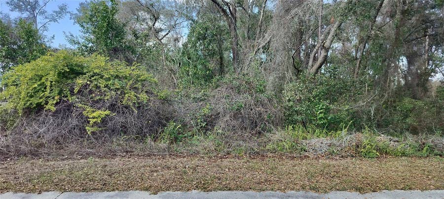 Property photo for 204 ADELPHI STREET, Inverness, FL