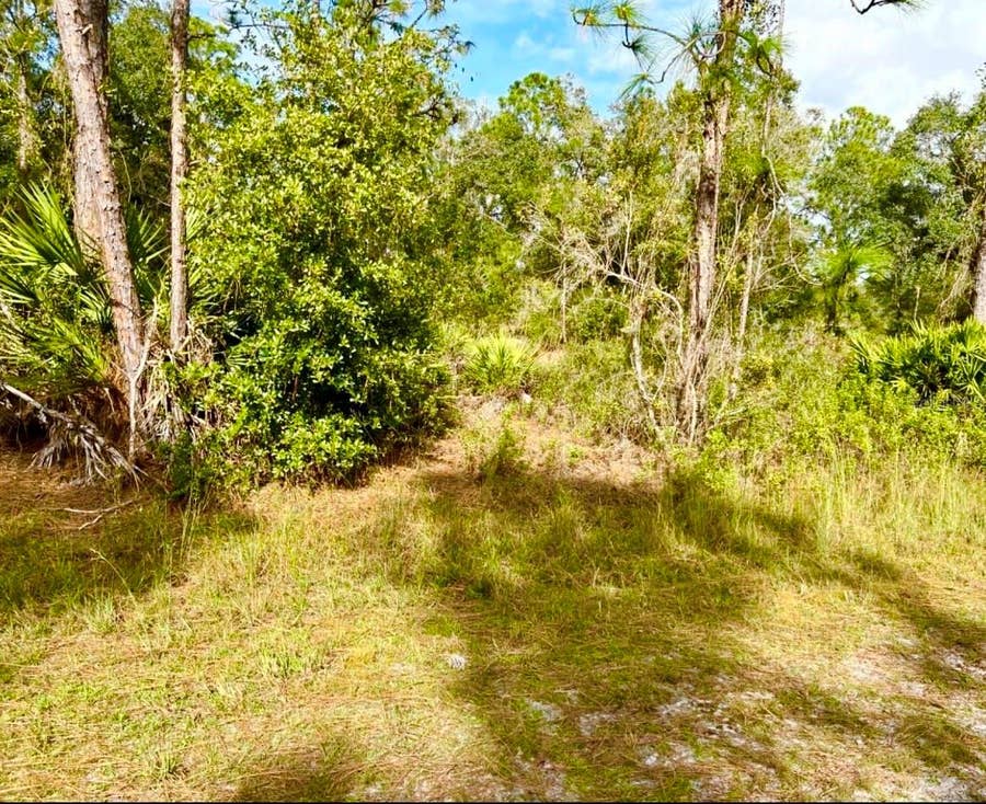 Property photo for OLEANDER DRIVE, Indian Lake Estates, FL