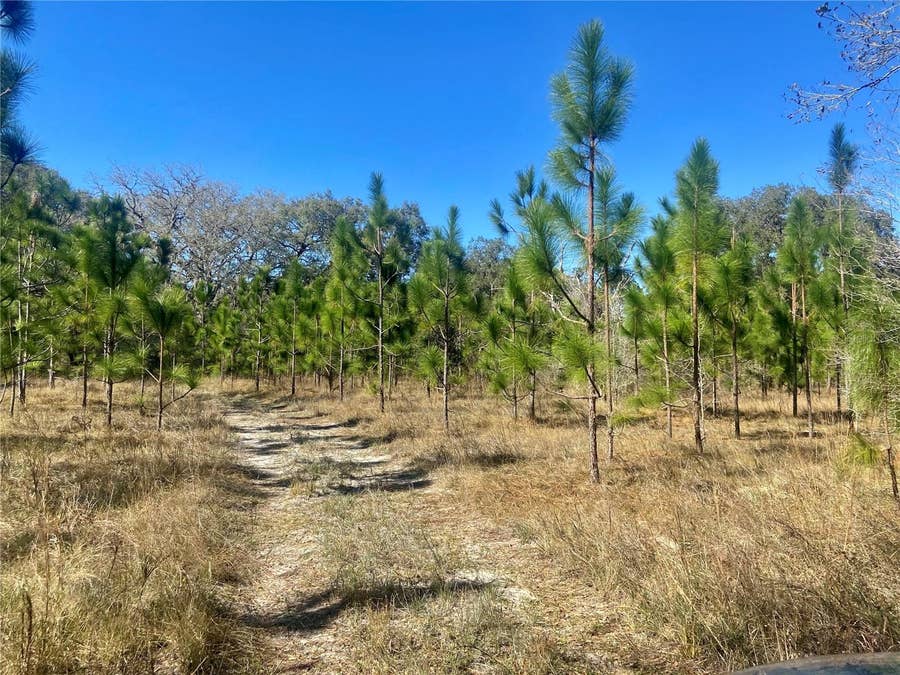 Property photo for 01 UNNAMED, Spring Hill, FL