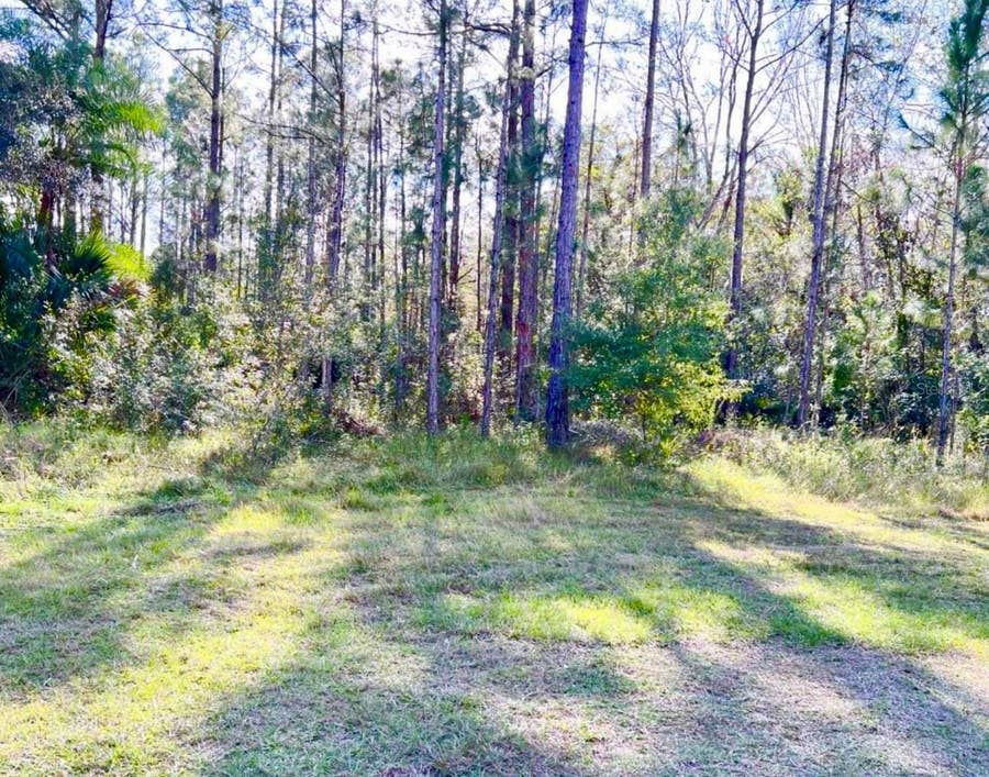 Property photo for 1011 INDIAN LAKE DRIVE, Indian Lake Estates, FL