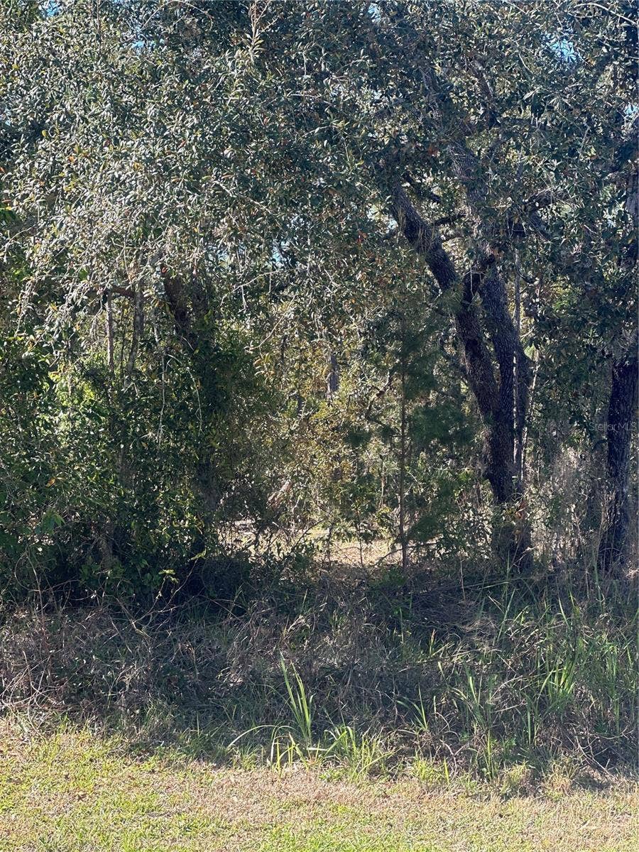 Property photo for 7 SWEETBAY COURT, Homosassa, FL