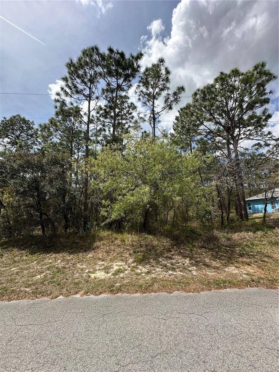 Property photo for 2 FRINGETREE COURT, Homosassa, FL