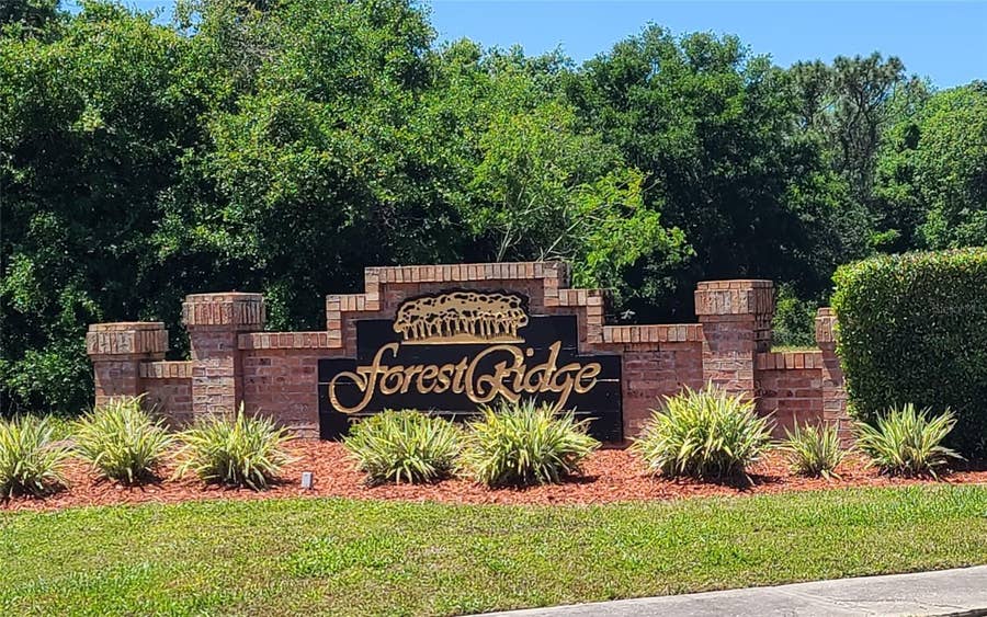 Property photo for 0 WOOD DOVE, LOTS 1.2.3.&4 AVENUE, Tarpon Springs, FL