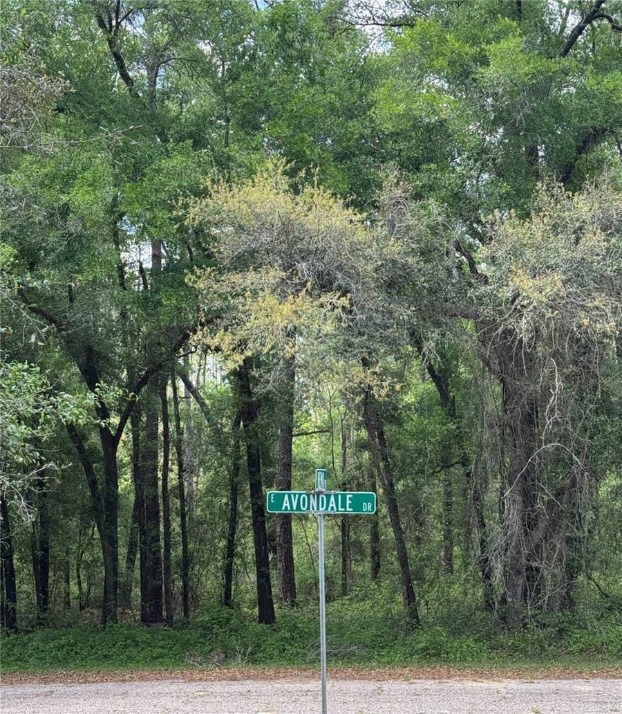 Property photo for 433 E AVONDALE DRIVE, Dunnellon, FL