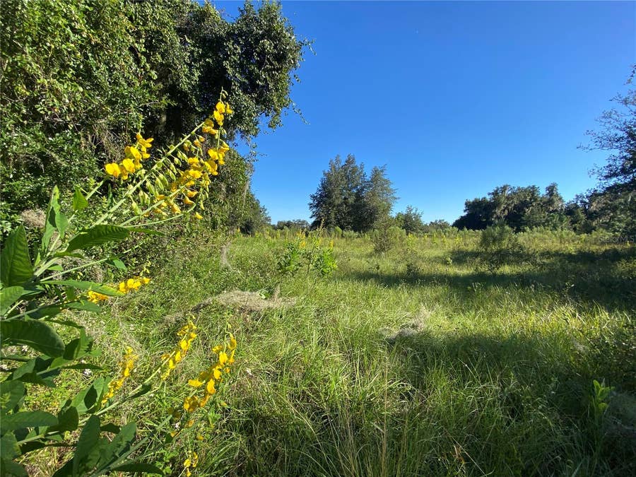 Property photo for 8701 S FRUITION AVENUE, Floral City, FL