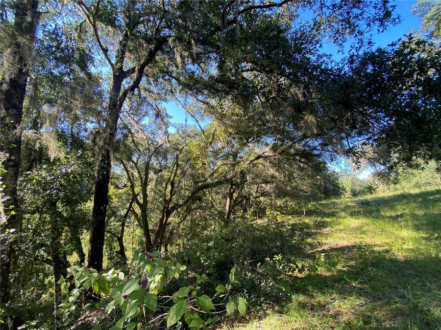 Property photo for 7373 E SAVANNAH COURT, Floral City, FL