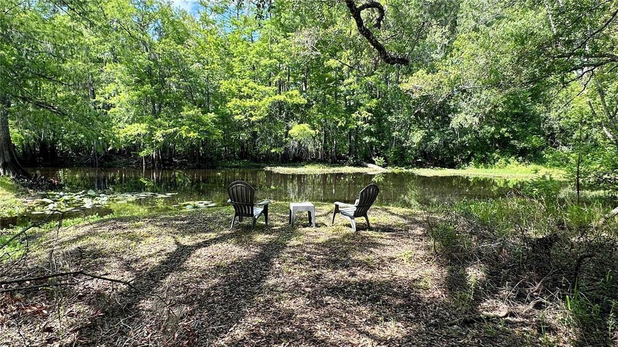 Property photo for 29133 LAWTON DRIVE, Nobleton, FL