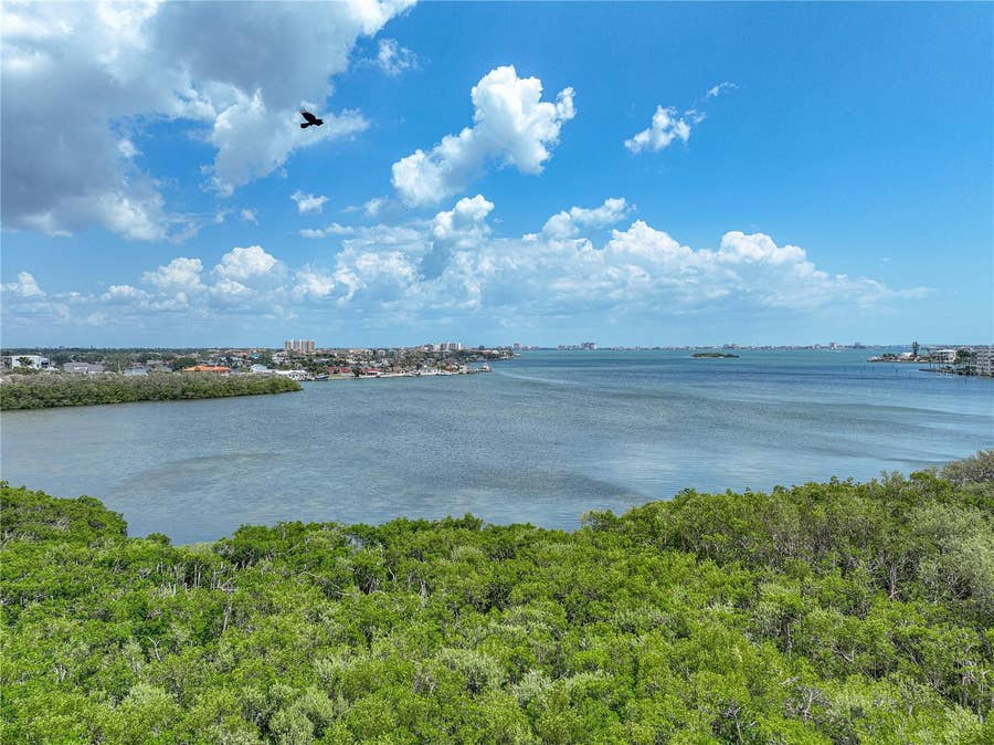 Property photo for 1332 PASADENA AVENUE S, #503, South Pasadena, FL