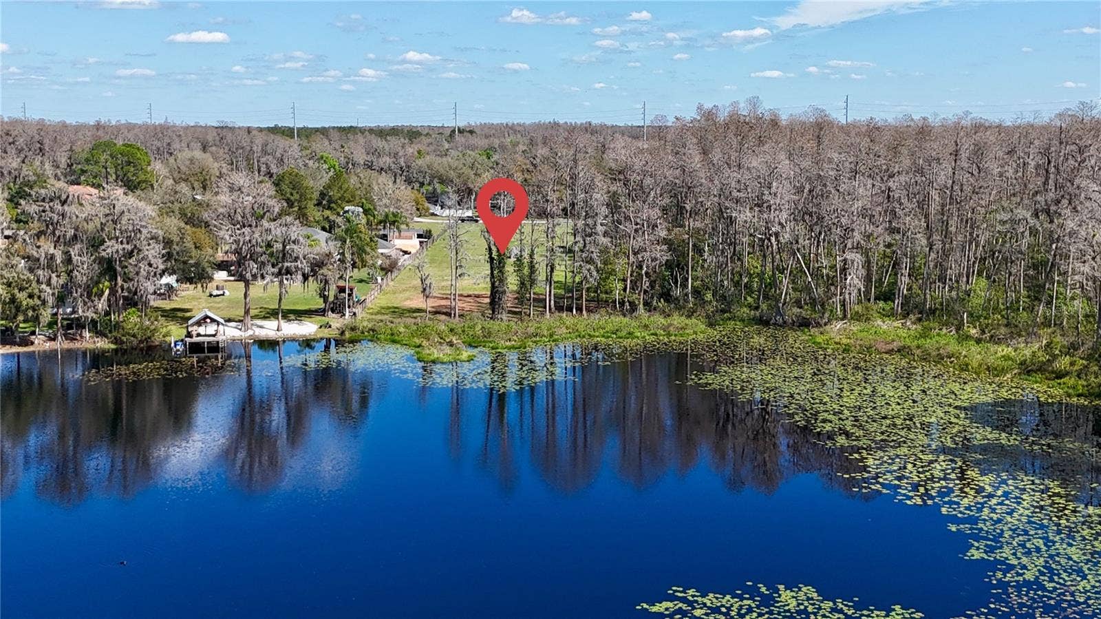 19218 BLOUNT ROAD, Lutz, FL 33558 Lake Virginia
