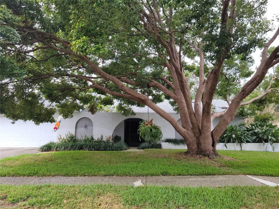 Property photo for 3200 SANDY RIDGE DRIVE, Clearwater, FL