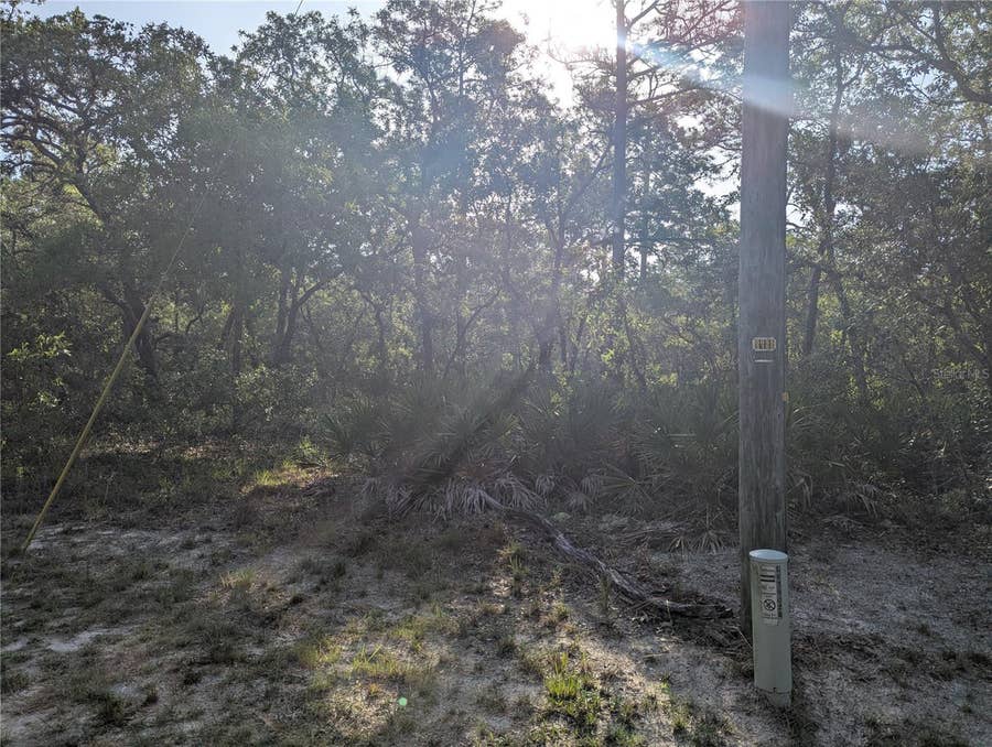 Property photo for 19036 RETRIEVER ROAD, Brooksville, FL