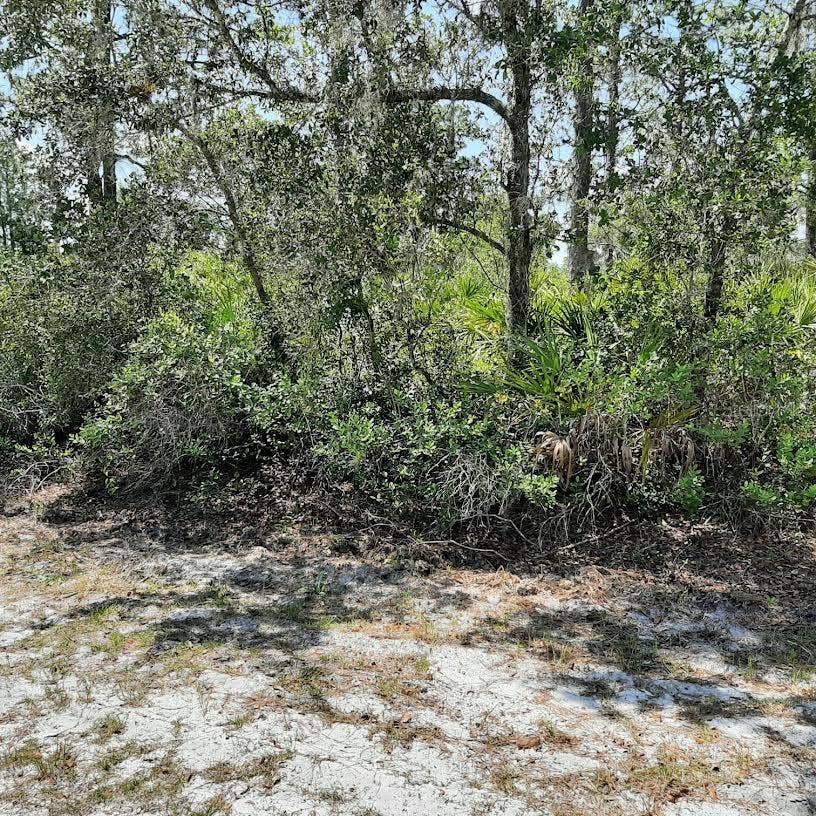 Property photo for 211 CAMELLIA DRIVE, Indian Lake Estates, FL