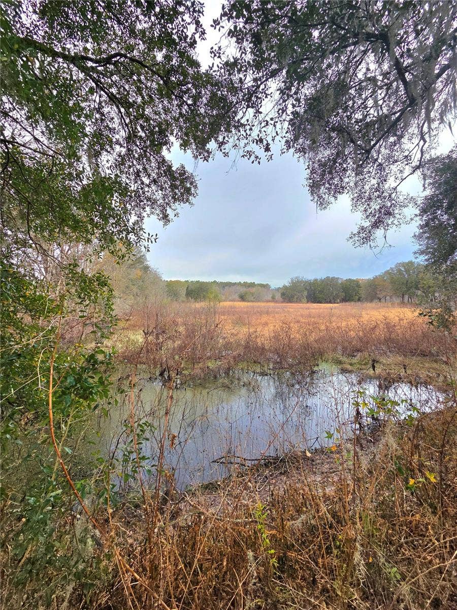 Property photo for 359 SAVANNAH OAKS DRIVE, Brooksville, FL