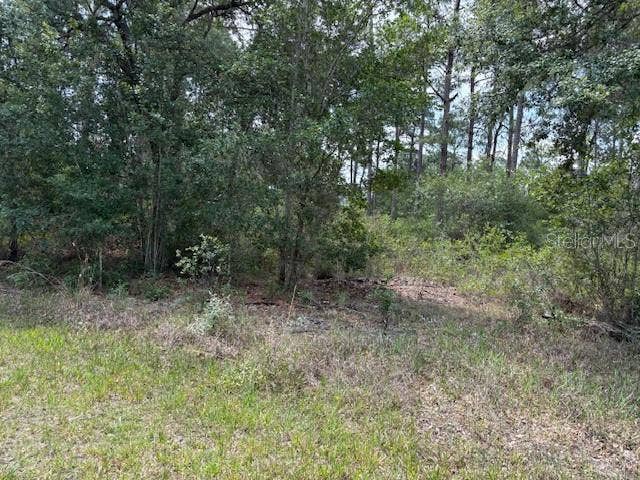 Property photo for 213 PLUMOSA DRIVE, Indian Lake Estates, FL