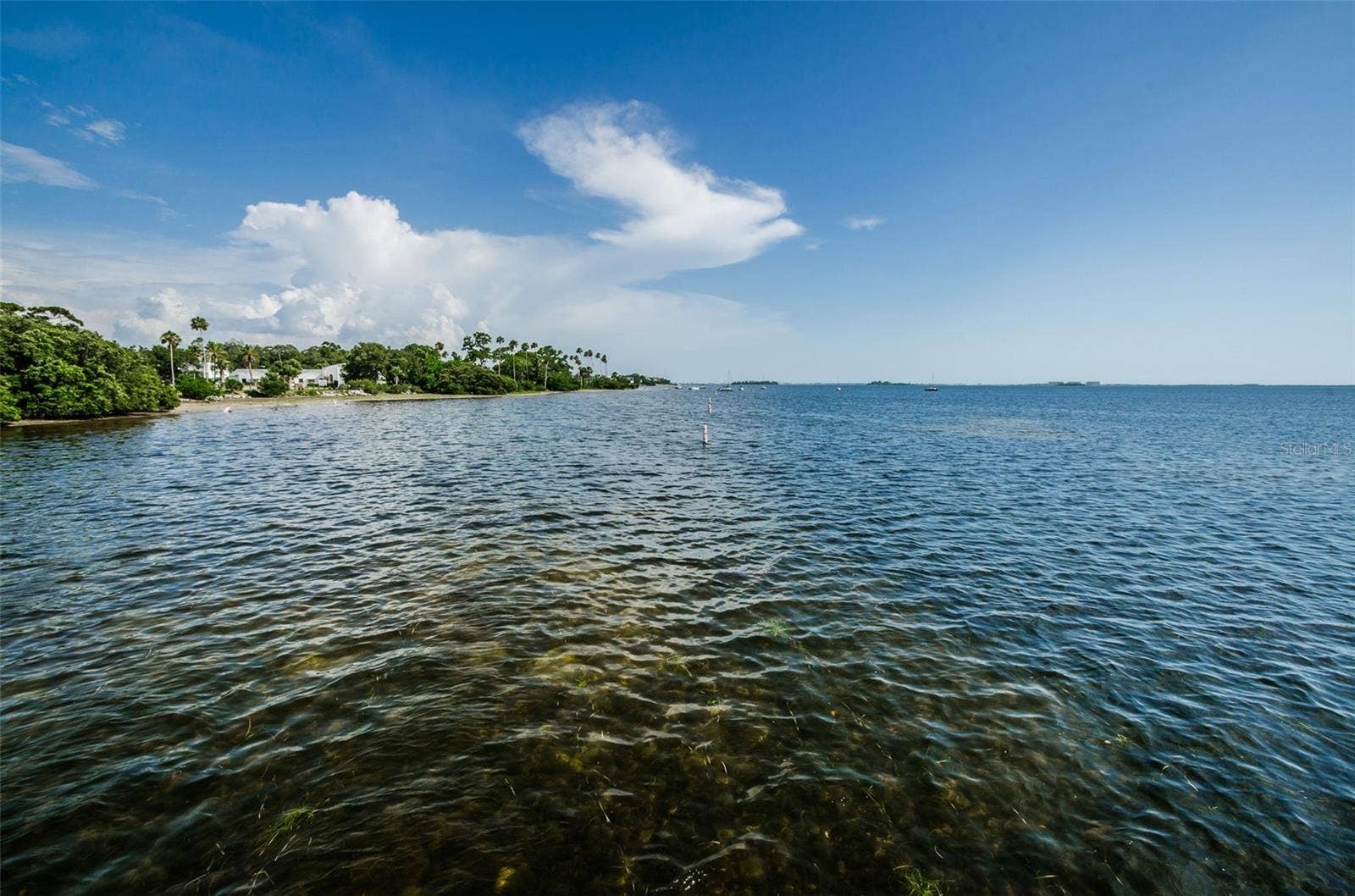 394 GEORGIA AVENUE, Crystal Beach, FL 34681 394 GEORGIA AVENUE, Crystal Beach, FL 34681