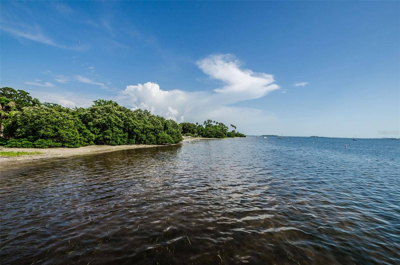 394 GEORGIA AVENUE, Crystal Beach, FL 34681 394 GEORGIA AVENUE, Crystal Beach, FL 34681