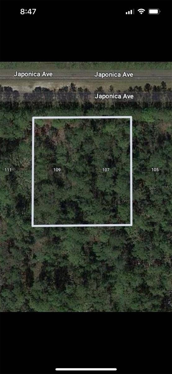 Property photo for 109 JAPONICA AVENUE, Indian Lake Estates, FL