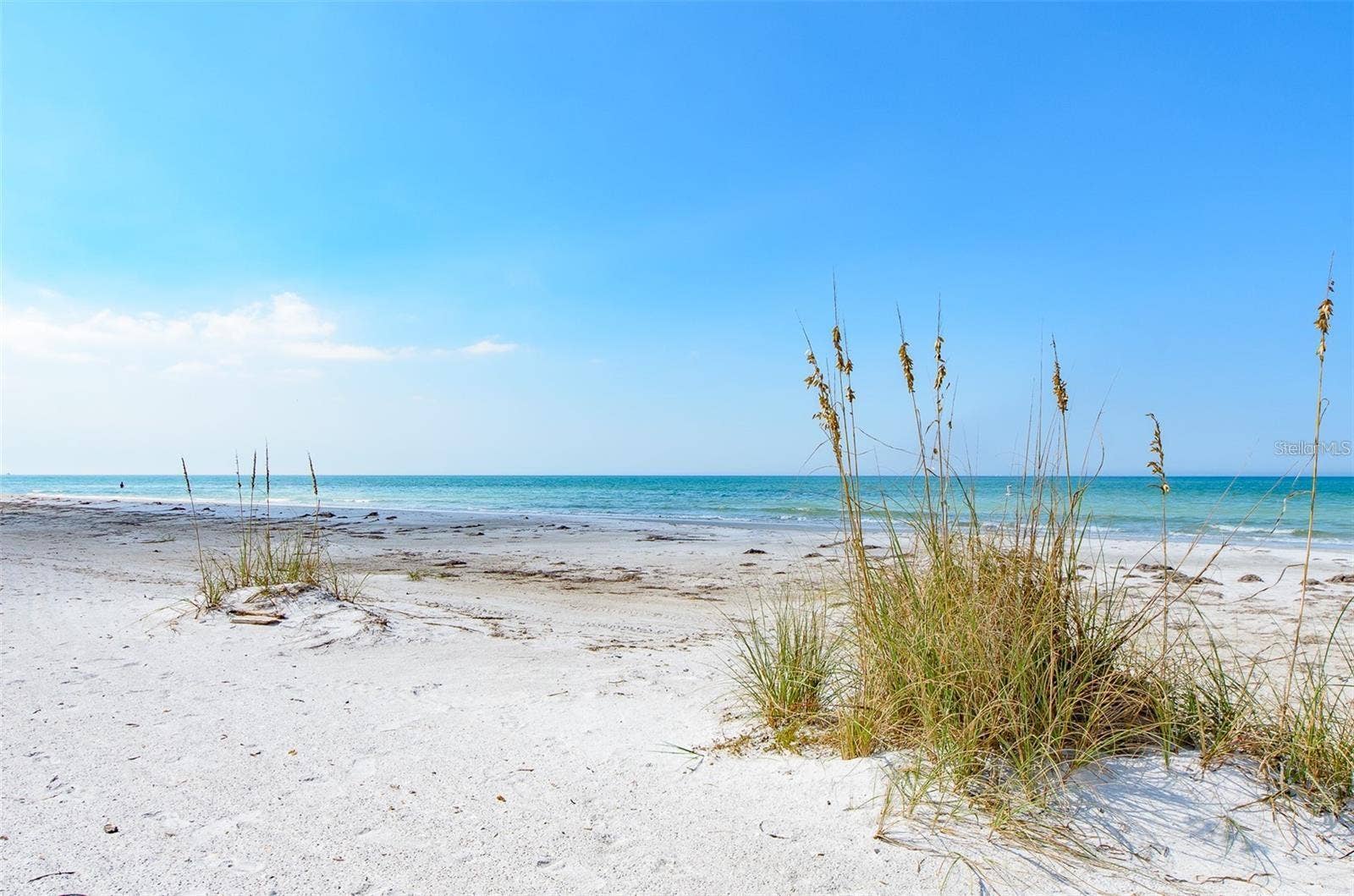 1460 GULF BOULEVARD, #1105, Clearwater Beach, FL 33767 1460 GULF BOULEVARD, #1105, Clearwater Beach, FL 33767