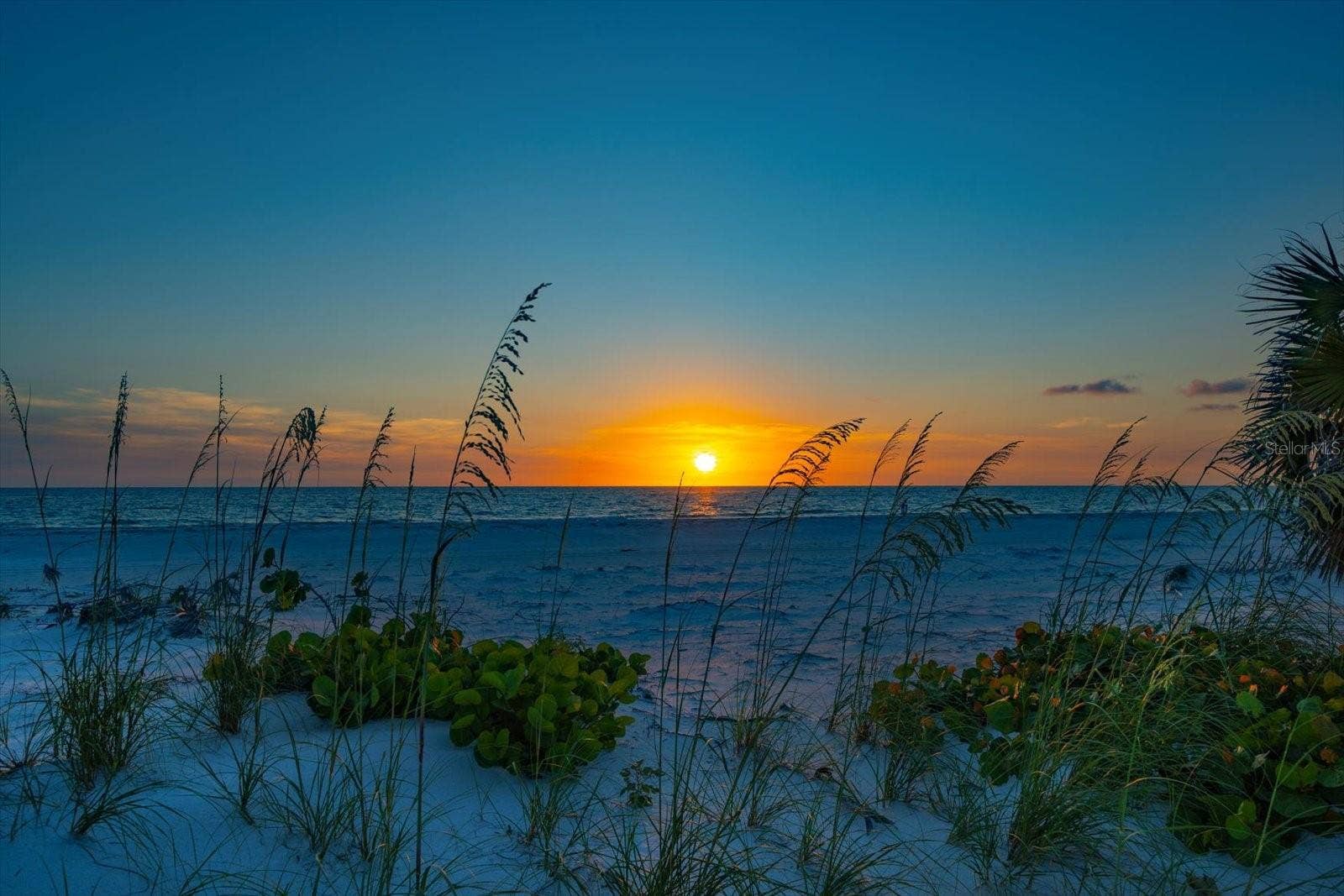 1114 MANDALAY POINT, Clearwater Beach, FL 33767 1114 MANDALAY POINT, Clearwater Beach, FL 33767