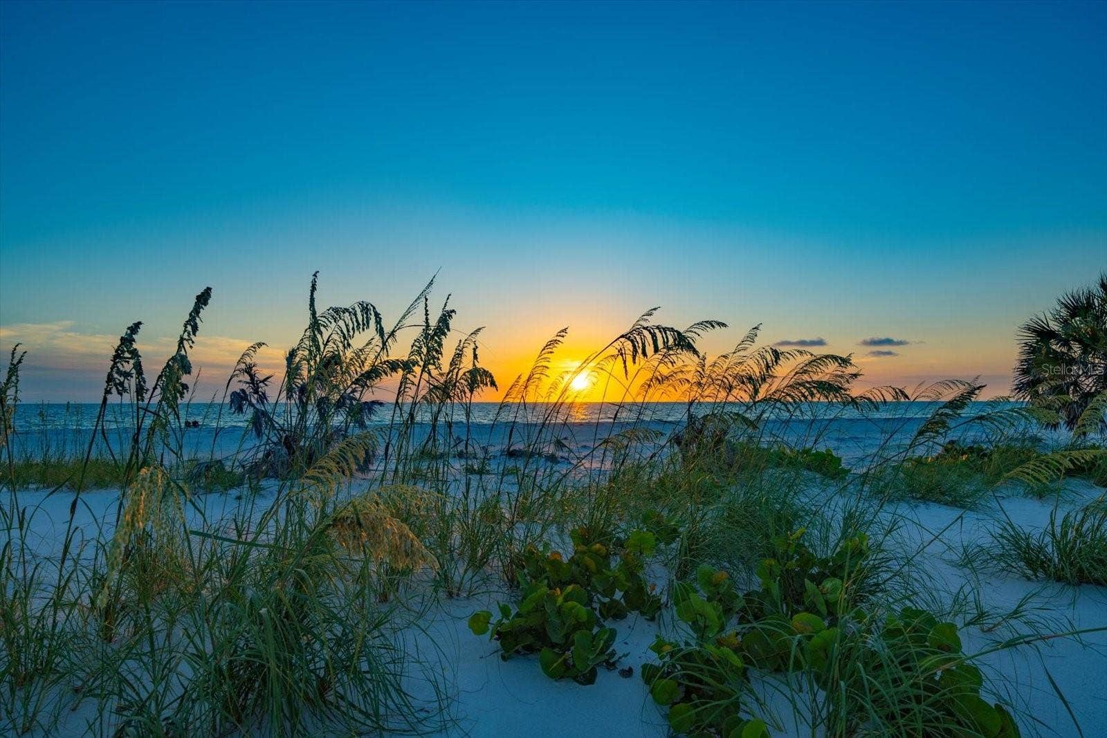 1114 MANDALAY POINT, Clearwater Beach, FL 33767 1114 MANDALAY POINT, Clearwater Beach, FL 33767