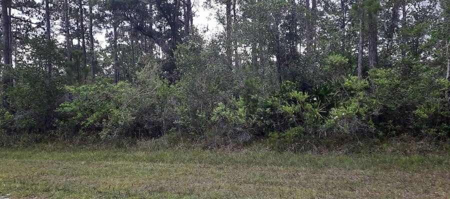 Property photo for 421 AZALEA DRIVE, Indian Lake Estates, FL