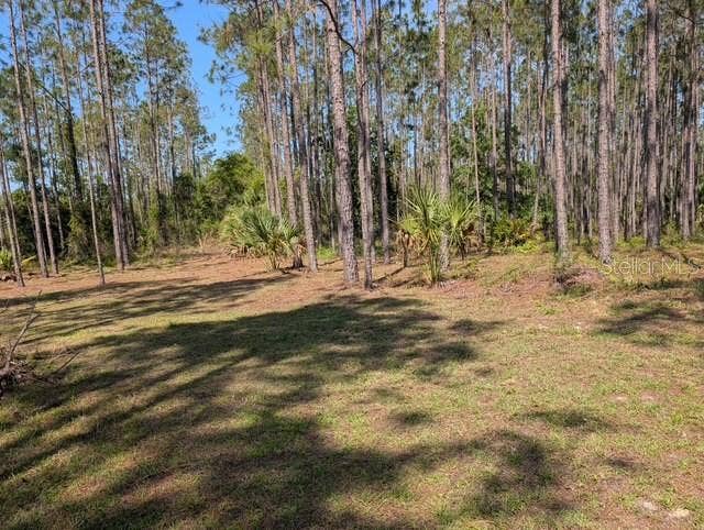 Property photo for 540 SW 326TH AVENUE, Steinhatchee, FL