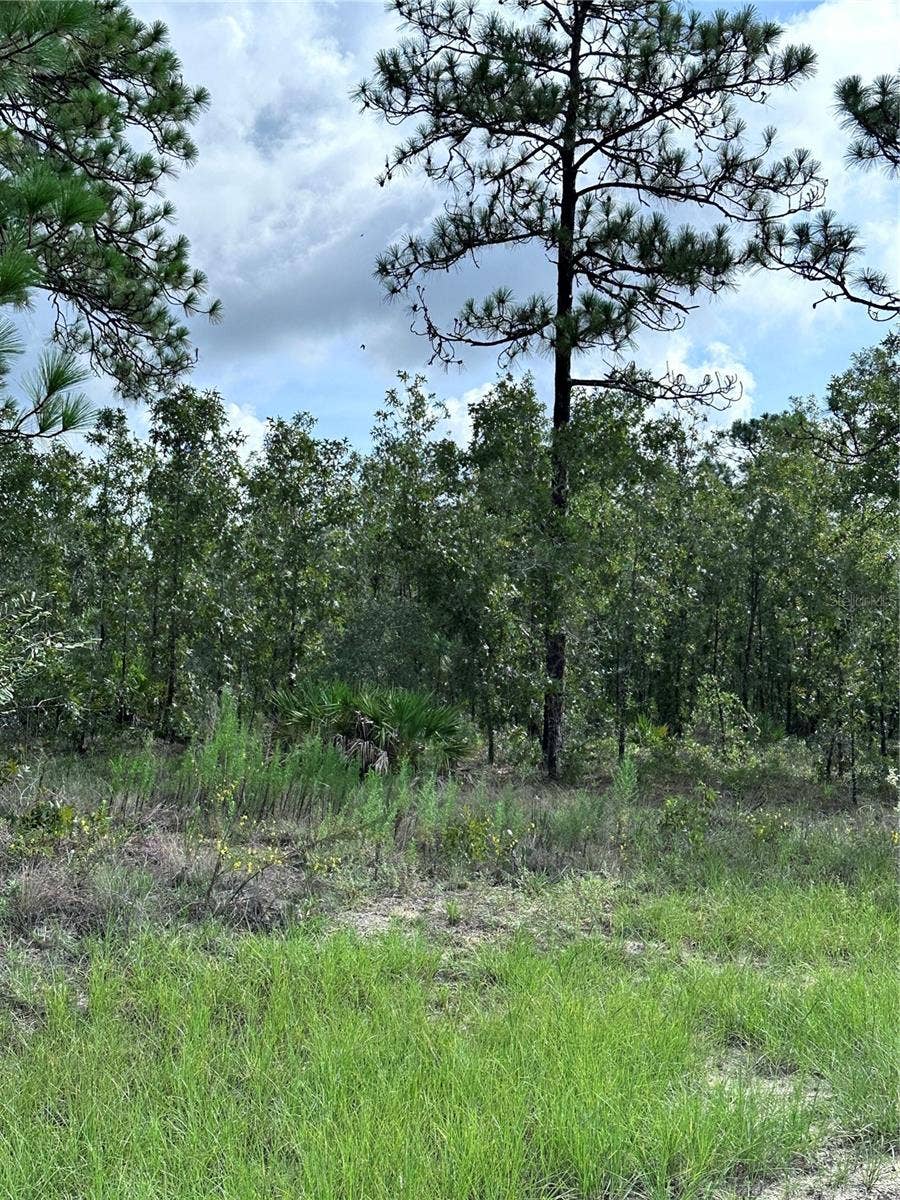 Property photo for SCAUP DUCK AVENUE, Weeki Wachee, FL