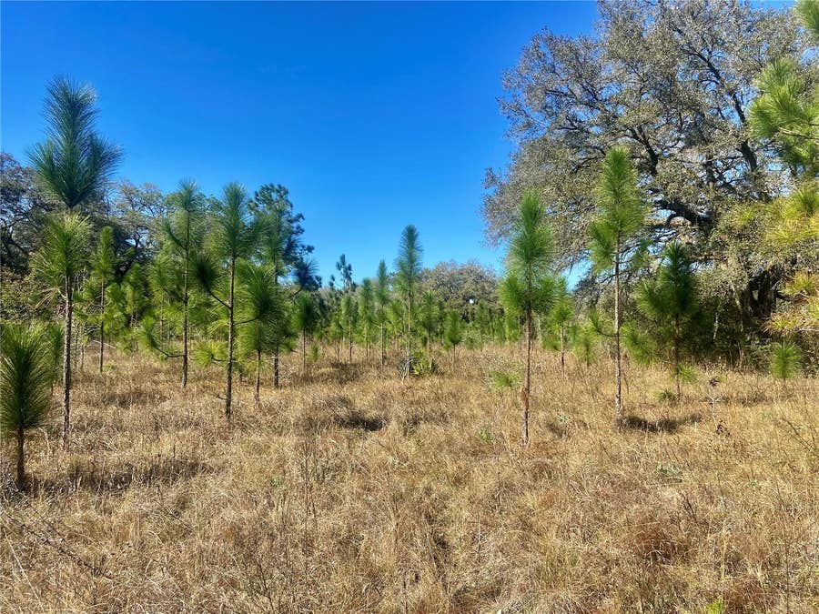 Property photo for 00 UNNAMED, Spring Hill, FL