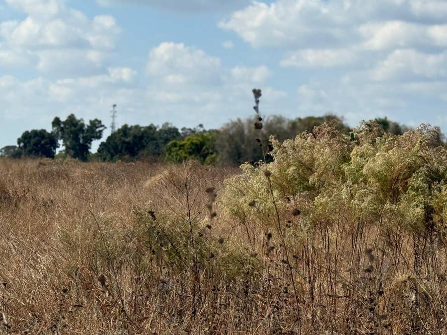 Property photo for 12828 FORT KING HIGHWAY, Thonotosassa, FL