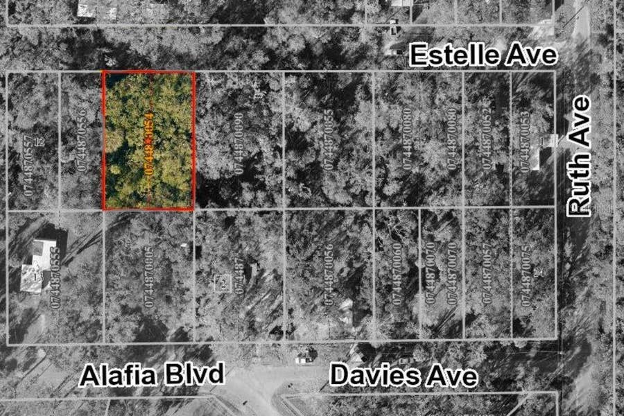Property photo for 931 ESTELLE AVENUE, Brandon, FL