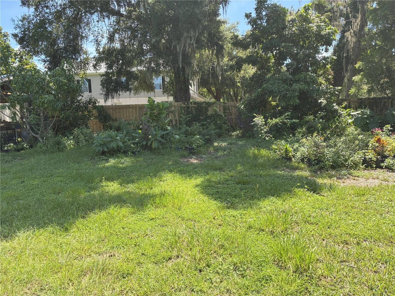 3016 BLOOMINGDALE AVENUE, Valrico, FL 33596 3016 BLOOMINGDALE AVENUE, Valrico, FL 33596