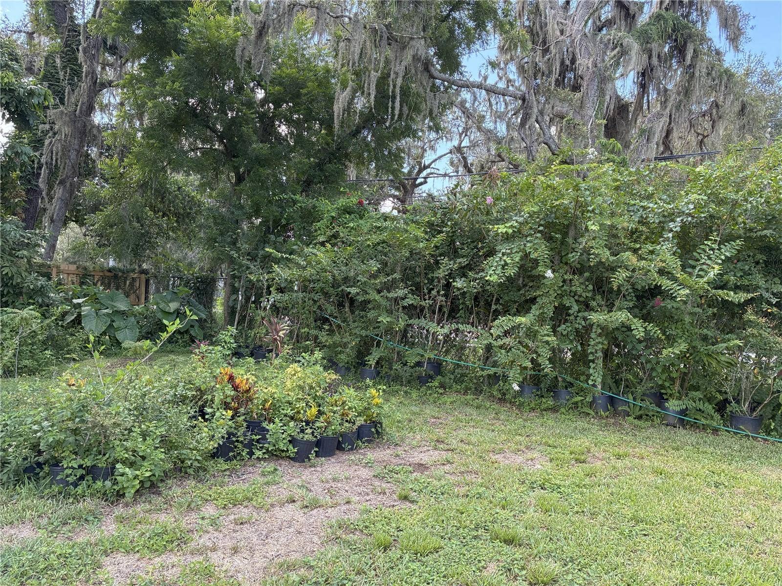 3016 BLOOMINGDALE AVENUE, Valrico, FL 33596 3016 BLOOMINGDALE AVENUE, Valrico, FL 33596