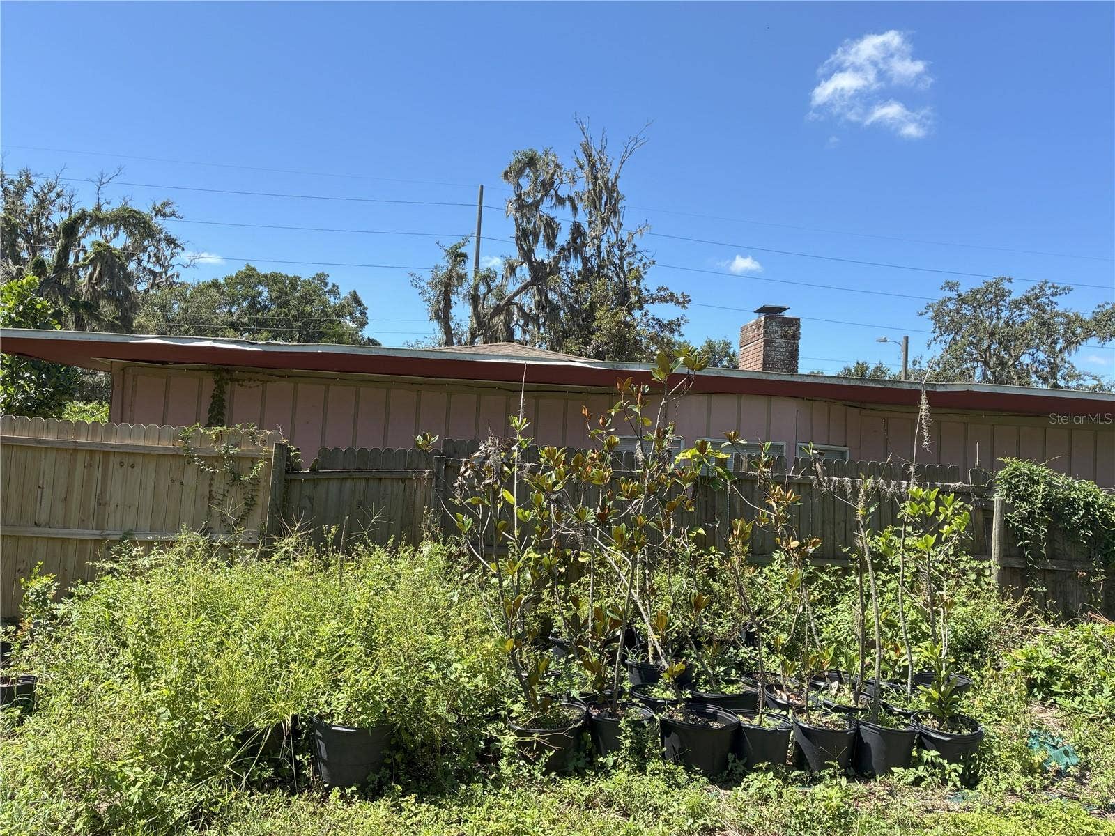 3016 BLOOMINGDALE AVENUE, Valrico, FL 33596 3016 BLOOMINGDALE AVENUE, Valrico, FL 33596