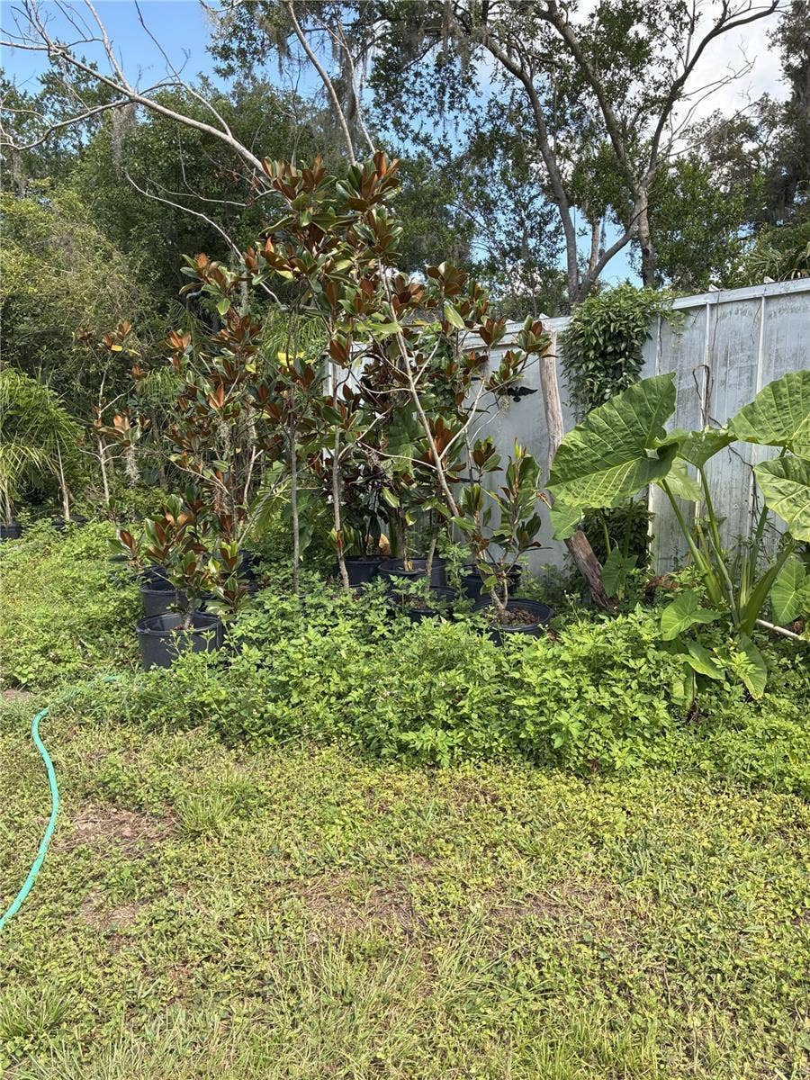 3016 BLOOMINGDALE AVENUE, Valrico, FL 33596 3016 BLOOMINGDALE AVENUE, Valrico, FL 33596