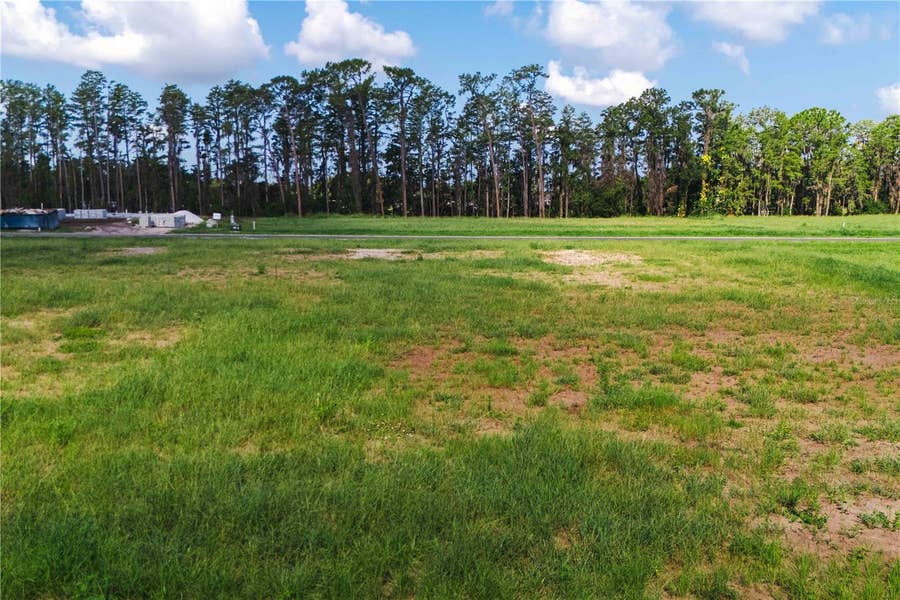 Property photo for 19319 DIMPLE DRIVE, Odessa, FL