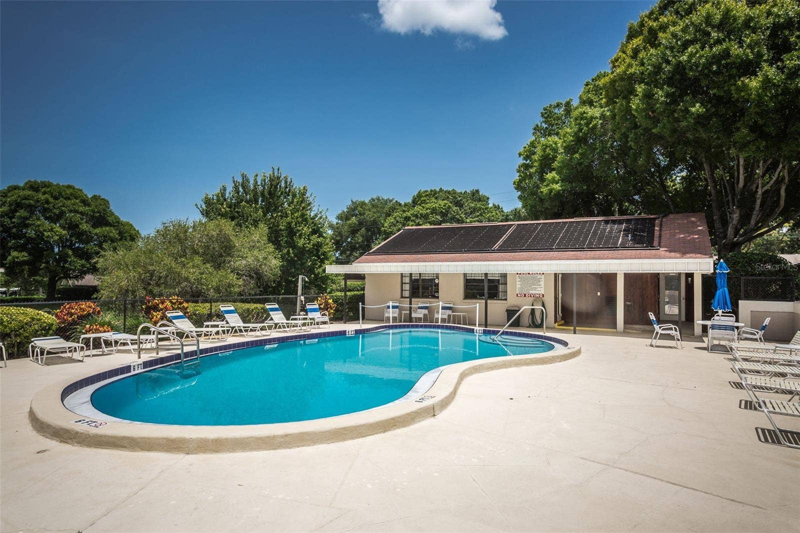 2119 ELM STREET, #103, Dunedin, FL 34698 2119 ELM STREET, #103, Dunedin, FL 34698